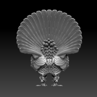 capercaillie - Thumbnail 8