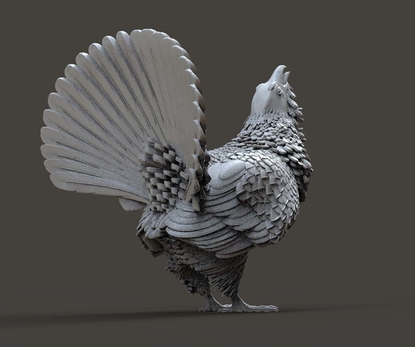 capercaillie 3D Print 509714