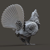 capercaillie - Thumbnail 12