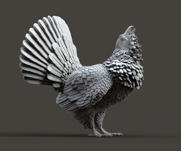 capercaillie 3D Print 509715