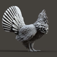 capercaillie - Thumbnail 13