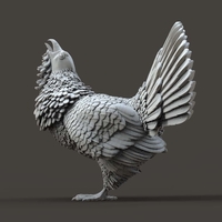 capercaillie - Thumbnail 14