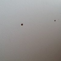 Wall dowel cap - Thumbnail 3
