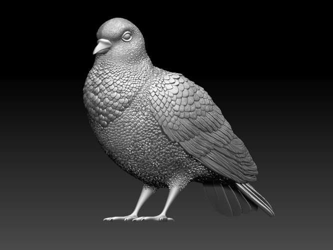 pigeon 3D Print 509740