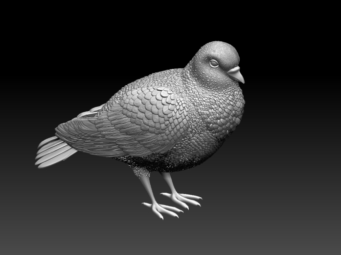 pigeon 3D Print 509741