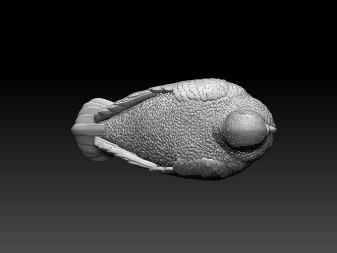 pigeon 3D Print 509742