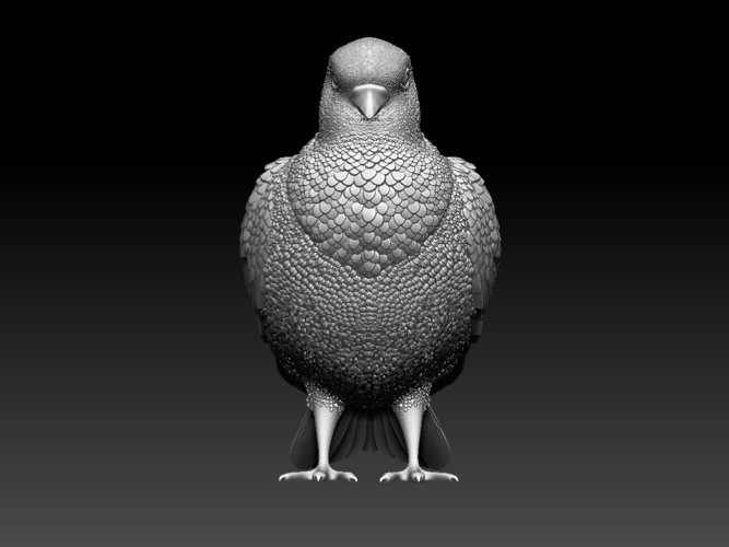 pigeon 3D Print 509743