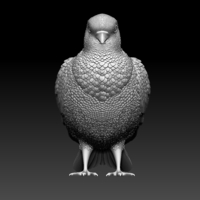 pigeon - Thumbnail 4