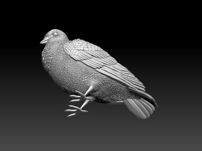 pigeon 3D Print 509744