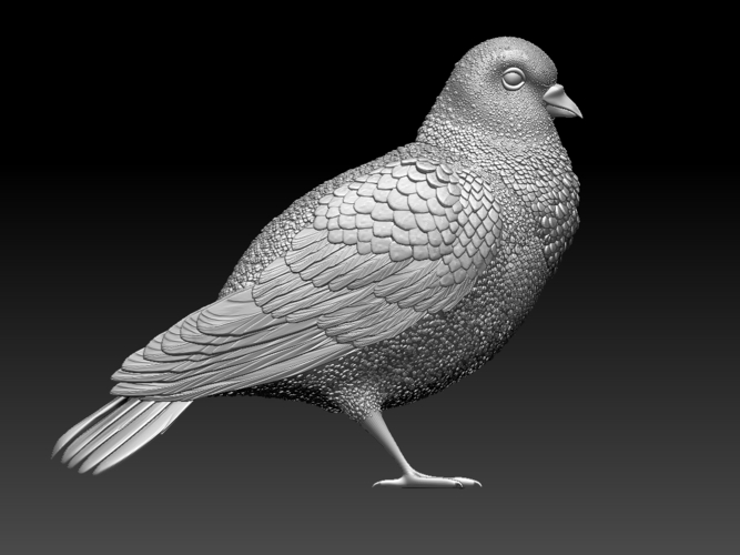 pigeon 3D Print 509745