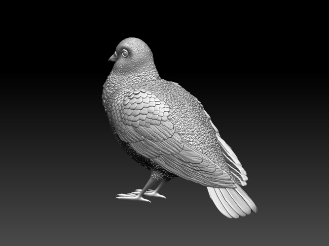 pigeon 3D Print 509746