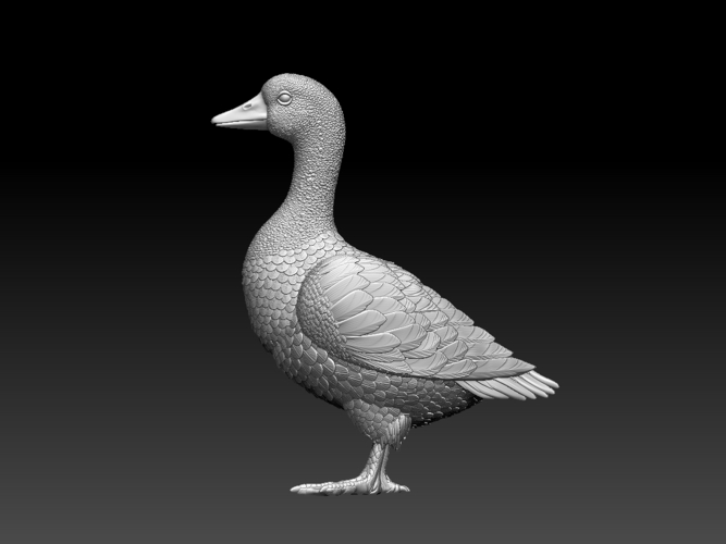 goose 3D Print 509751