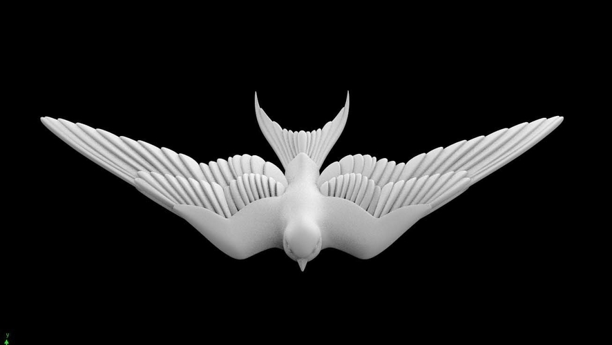 swallow 3D Print 509757