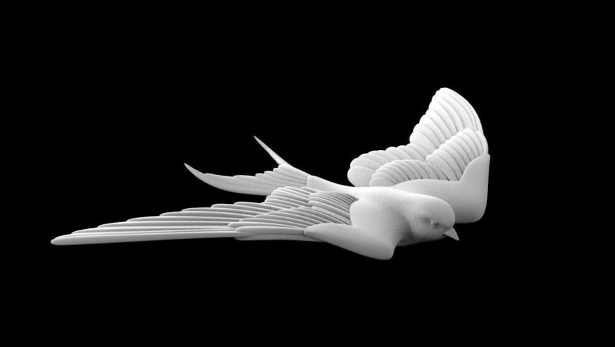 swallow 3D Print 509758