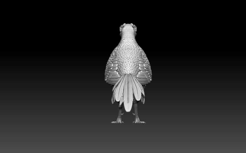 pheasant 3D Print 509762