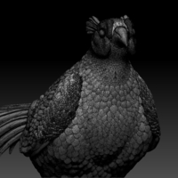 pheasant - Thumbnail 4