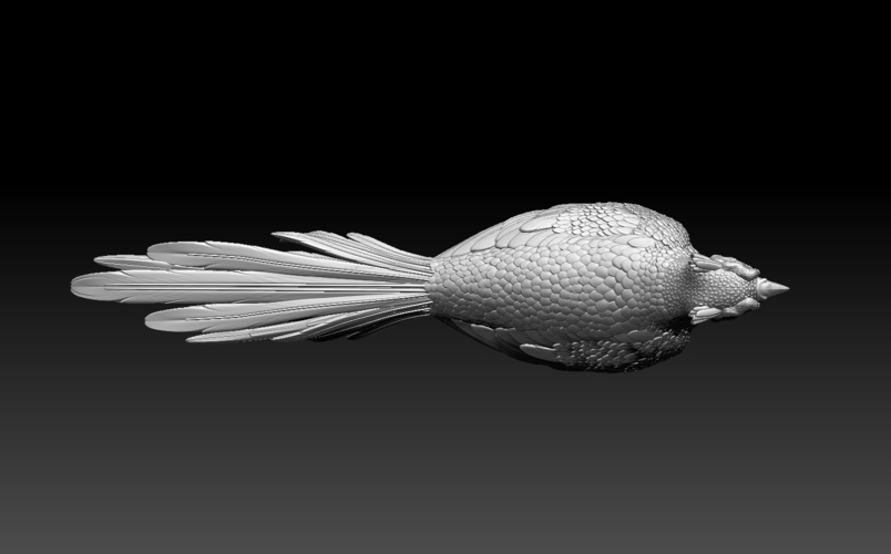 pheasant 3D Print 509765