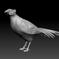 Small pheasant 3D Printing 509767