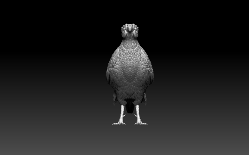 pheasant 3D Print 509768