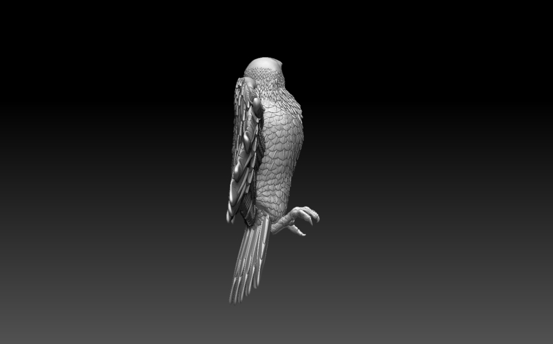 bird 3D Print 509777