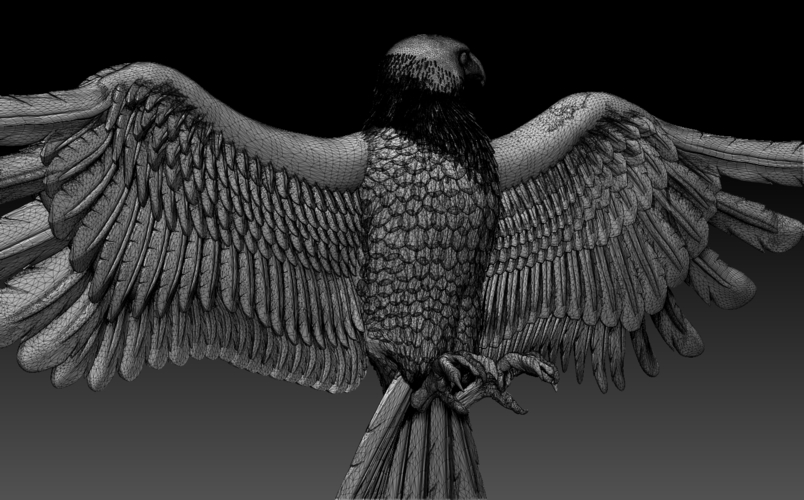 bird 3D Print 509780