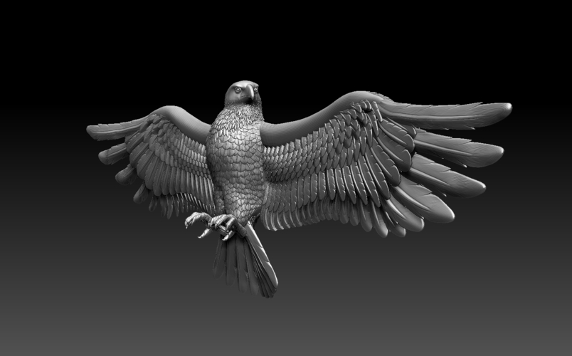 bird 3D Print 509782