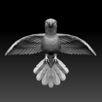 colibri humming bird - Thumbnail 1