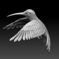 colibri humming bird - Thumbnail 2