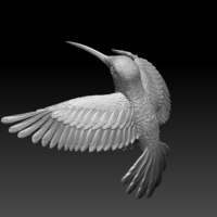 colibri humming bird - Thumbnail 6
