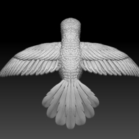 colibri humming bird - Thumbnail 8