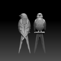 swallow - Thumbnail 1