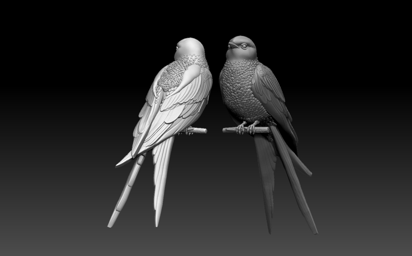 swallow 3D Print 509796