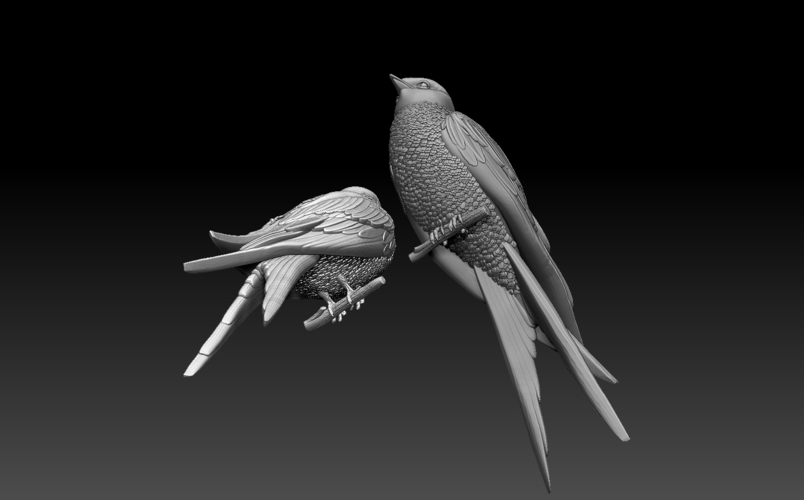 swallow 3D Print 509797