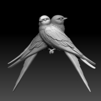 swallow - Thumbnail 5