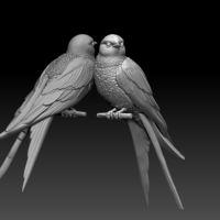 Small swallow 3D Printing 509800