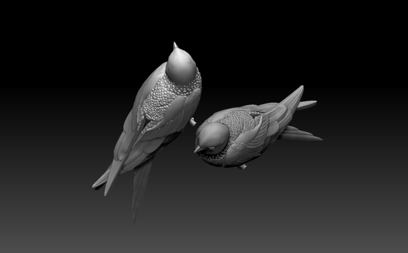 swallow 3D Print 509801