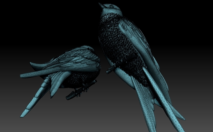 swallow 3D Print 509802