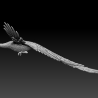 peacock - Thumbnail 3