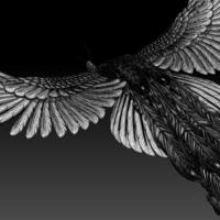 peacock - Thumbnail 4