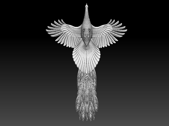 peacock 3D Print 509810