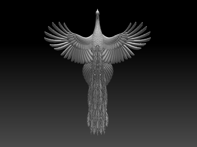 peacock 3D Print 509811