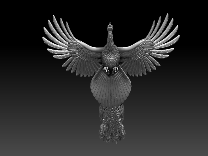 peacock 3D Print 509812