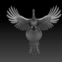 peacock - Thumbnail 10