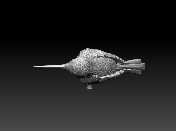 hummingbird 3D Print 509814