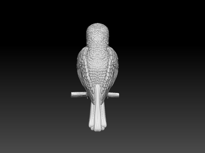 hummingbird 3D Print 509818