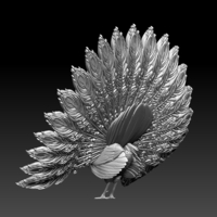 peacock - Thumbnail 2