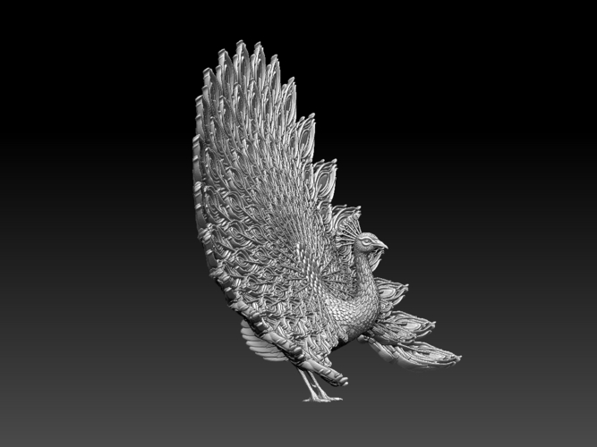 peacock 3D Print 509824