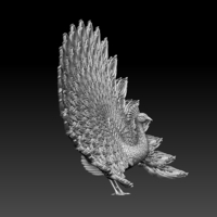 peacock - Thumbnail 3