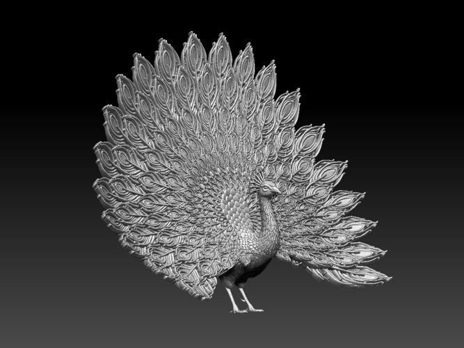 peacock 3D Print 509825