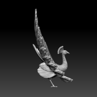 peacock - Thumbnail 6